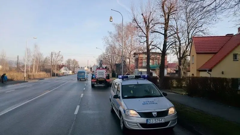 Kierowca Audi zdewastował latarnię i wpadł na posesję