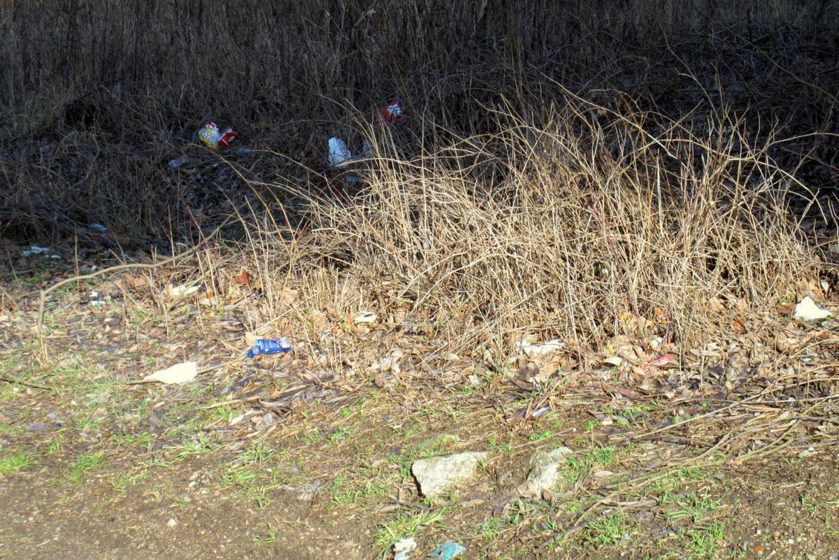 Ścieżka MOSiRu i Radia Wrocław to syf, kiła, mogiła