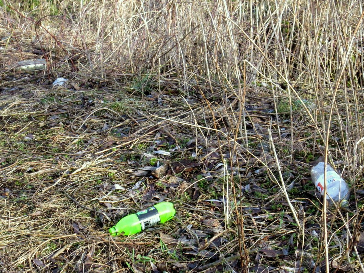 Ścieżka MOSiRu i Radia Wrocław to syf, kiła, mogiła