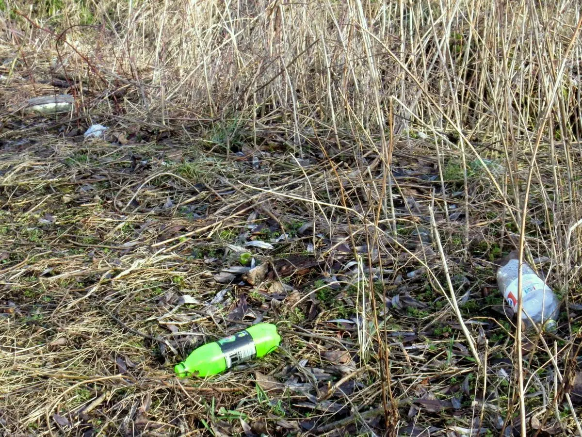 Ścieżka MOSiRu i Radia Wrocław to syf, kiła, mogiła