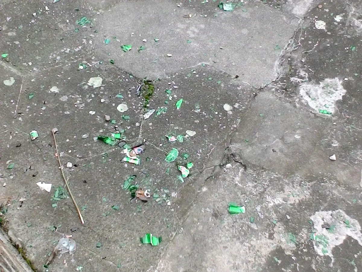 Bobrowa ścieżka jest regularnie zaśmiecana przez brudasów i nie nadążamy za nimi sprzątać