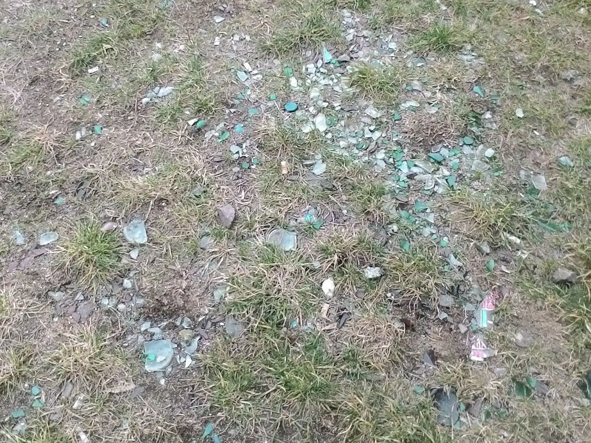 Bobrowa ścieżka jest regularnie zaśmiecana przez brudasów i nie nadążamy za nimi sprzątać