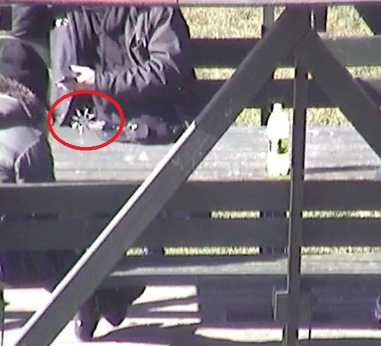 Piją alkohol na placach zabaw, udają ninja i niszczą mienie