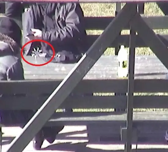 Piją alkohol na placach zabaw, udają ninja i niszczą mienie