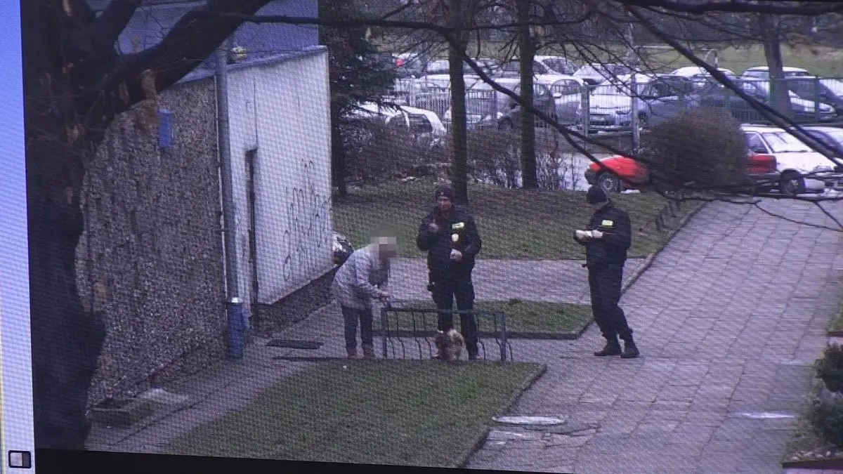 Bolesławianie nadal nie sprzątają po swoich pupilach