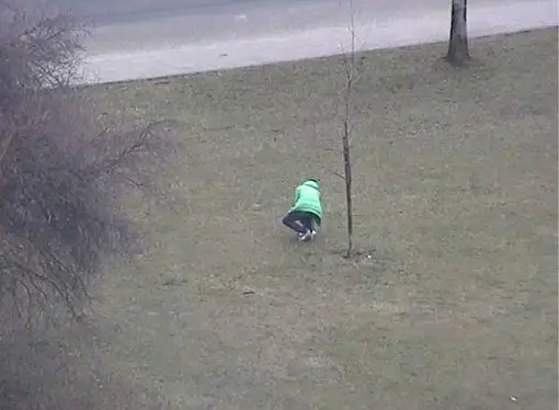 Bolesławianie nadal nie sprzątają po pupilach