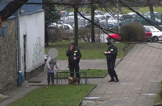 Bolesławianie nadal nie sprzątają po pupilach