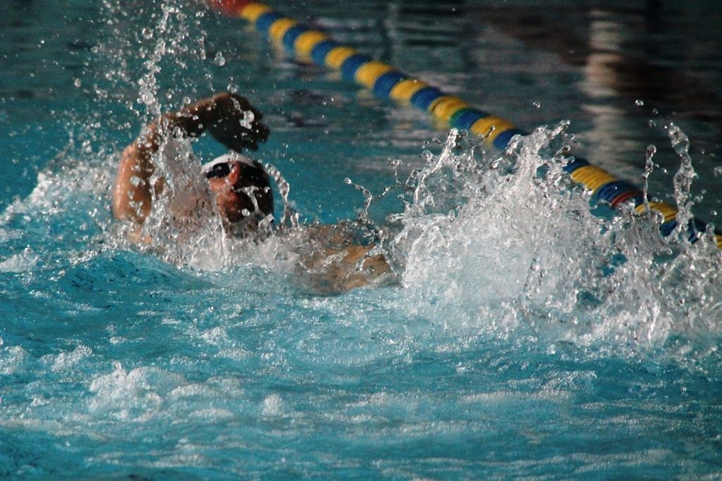 Pancerniacy – srebrni pływacy