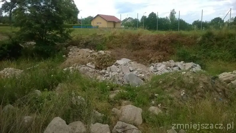 Syf w Bolesławicach