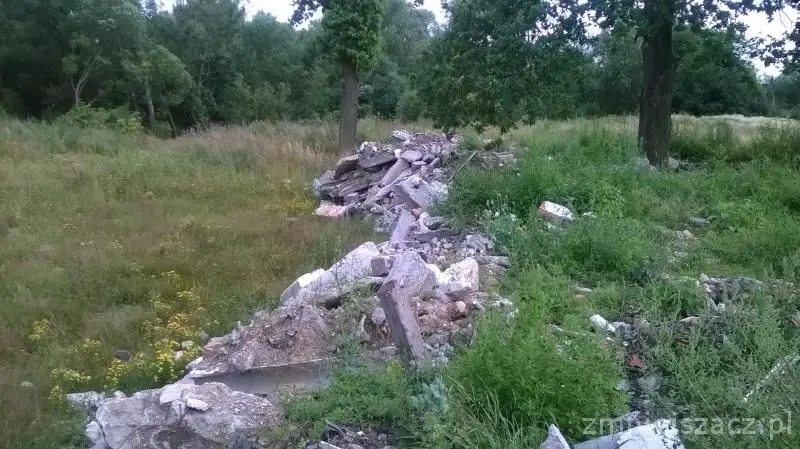 Syf w Bolesławicach