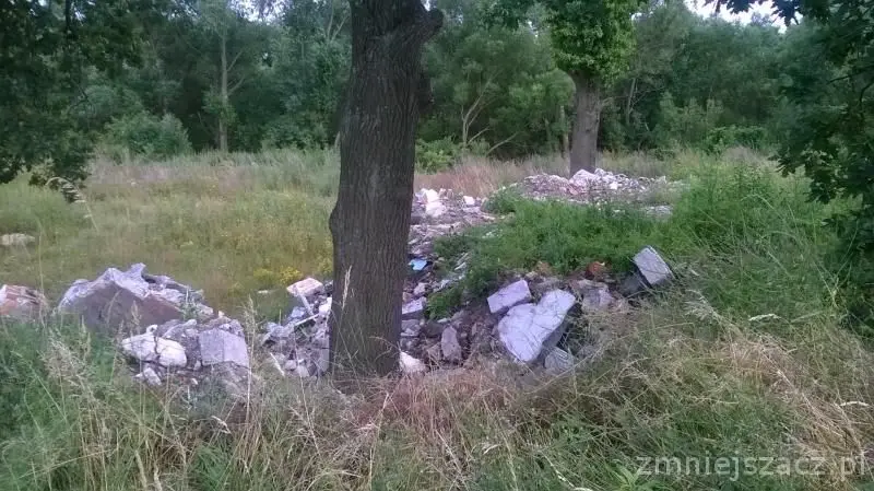 Syf w Bolesławicach