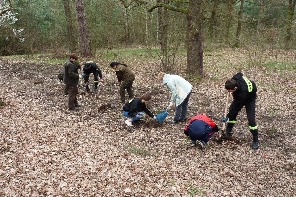 Druhowie z Ławszowej posadzili kilkaset drzew