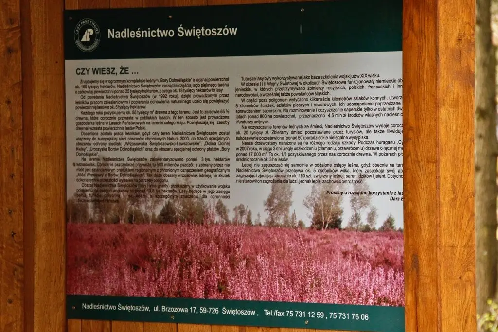 10BKPanc: Las to nasze wspólne dobro
