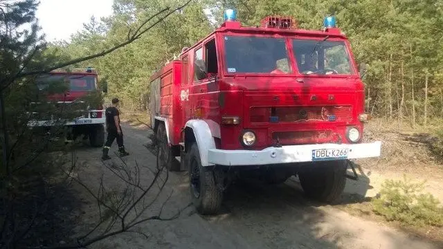 Zapłonęły lasy