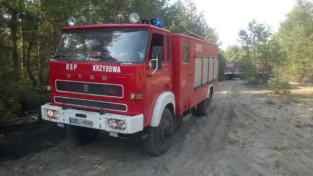 Zapłonęły lasy