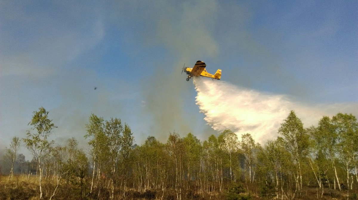 Pożar na poligonie w Świętoszowie