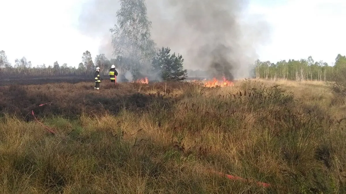 Pożar na poligonie w Świętoszowie