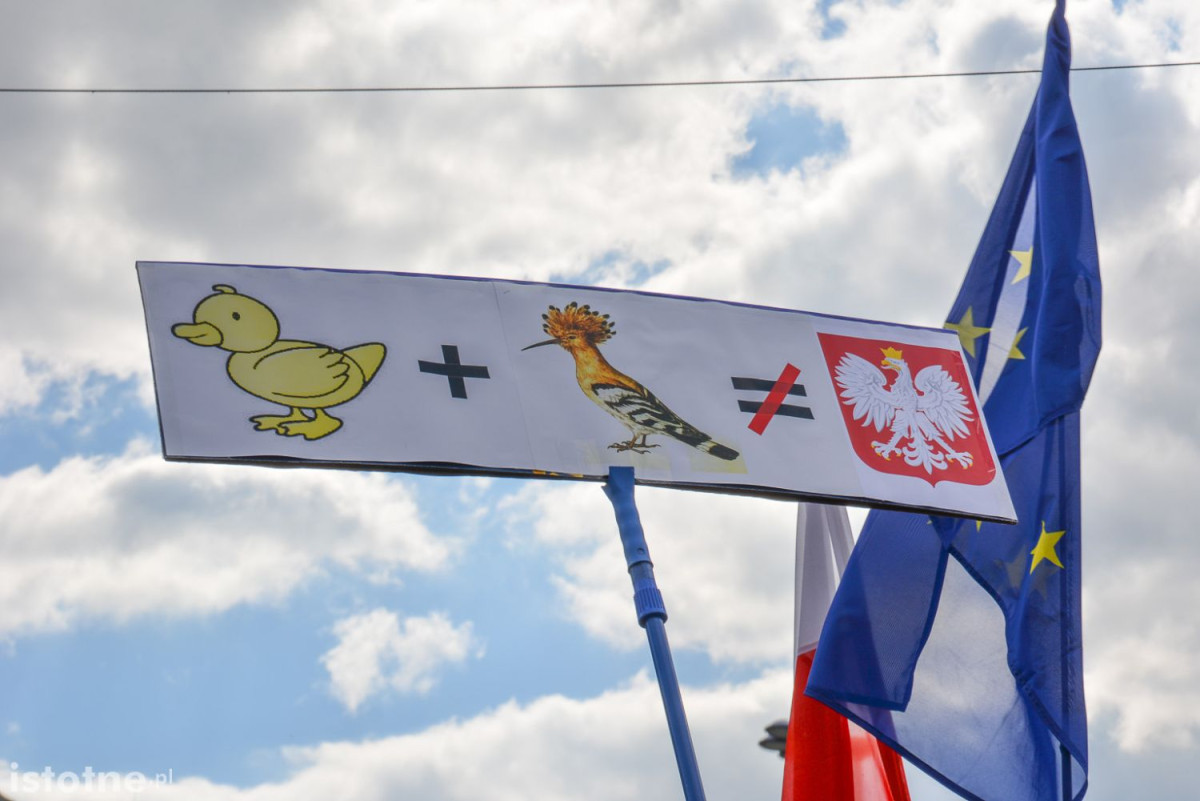 Bolesławianie na marszu 7 maja