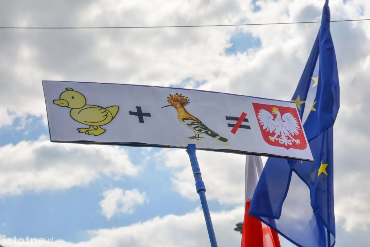 Bolesławianie na marszu 7 maja
