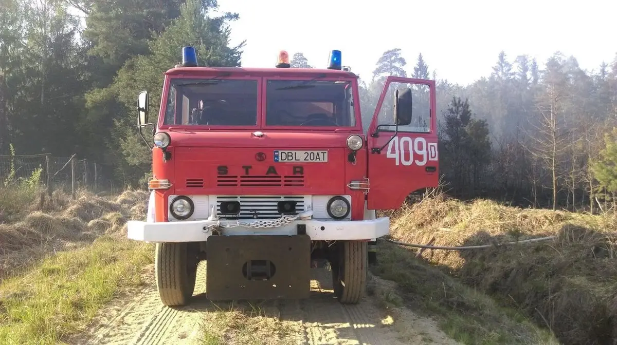 Spłonęło ok. 11 ha lasu