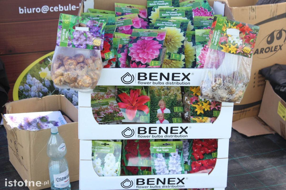 Targi Ogrodniczo-Techniczne w Meduzie