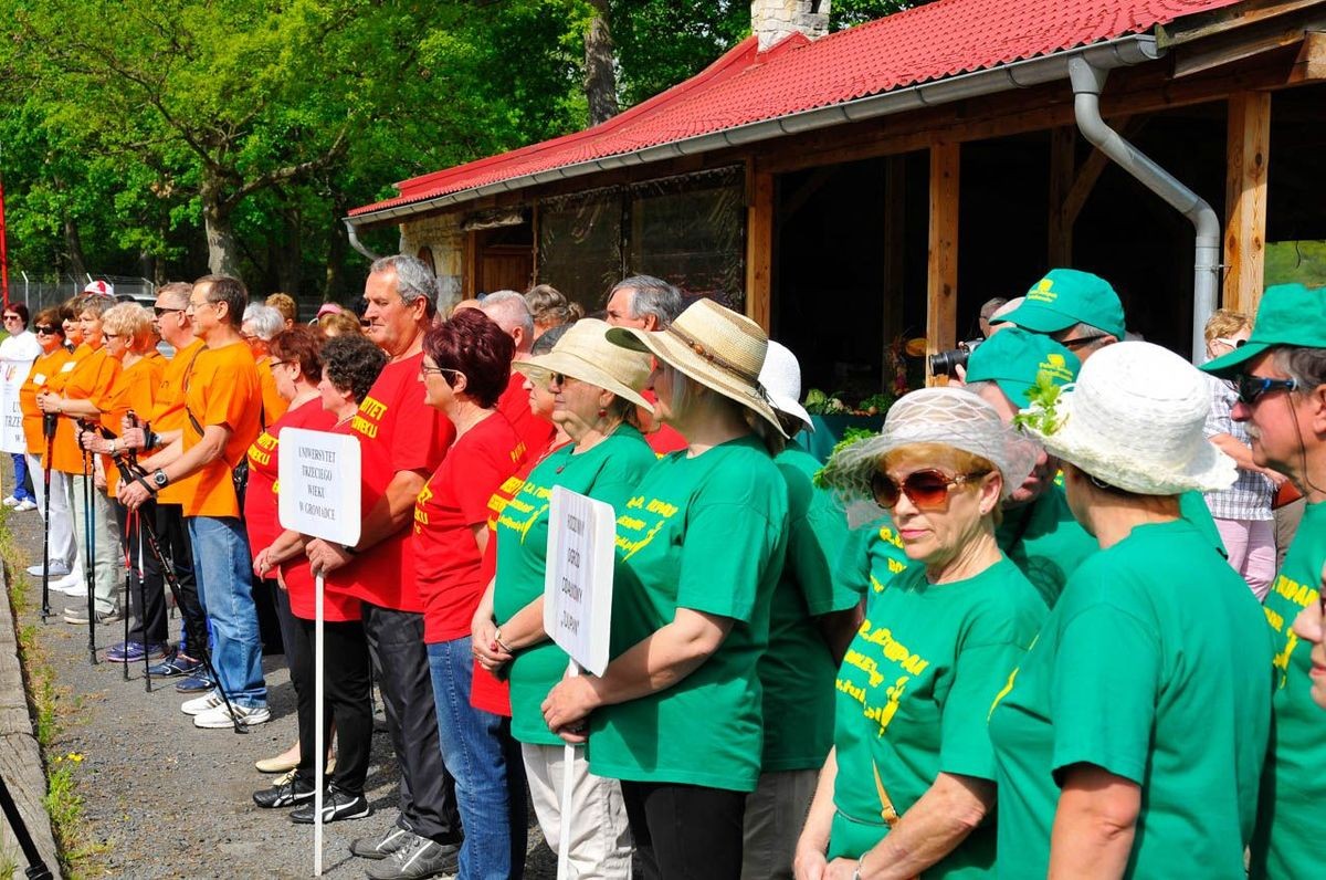 Olimpijskie zmagania bolesławieckich seniorów