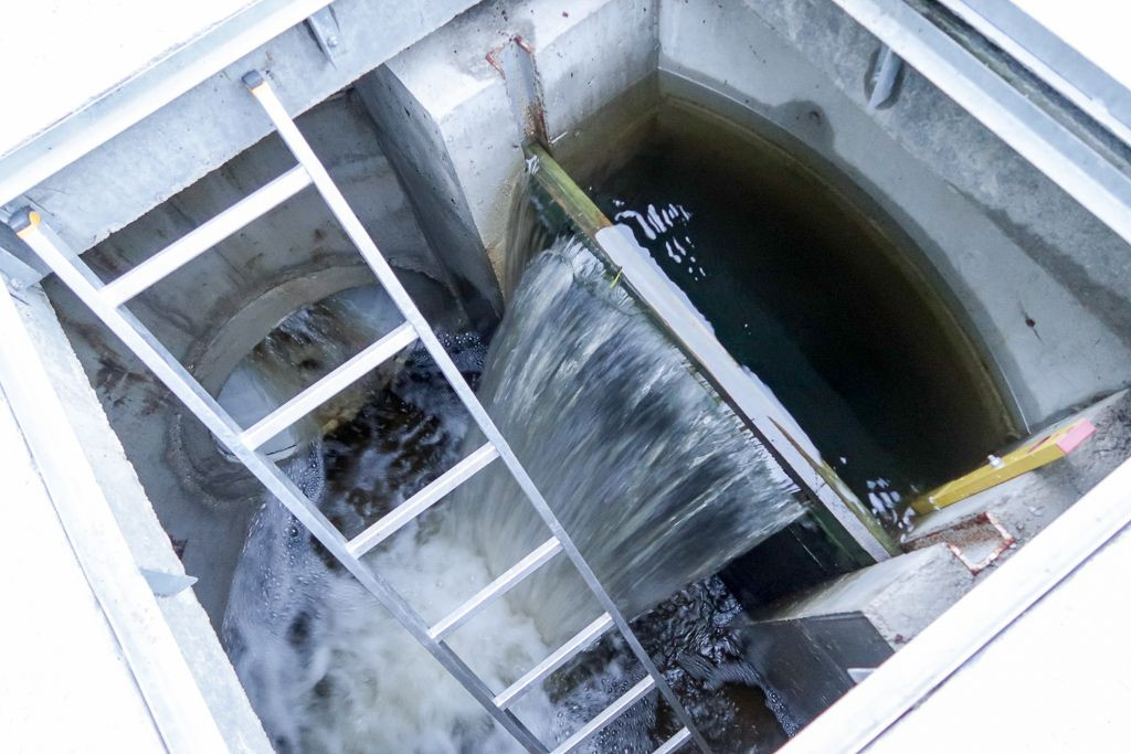 Zbiornik Leśny Potok w Bolesławcu