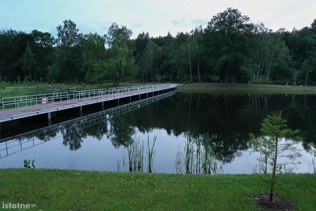 Zbiornik Leśny Potok w Bolesławcu