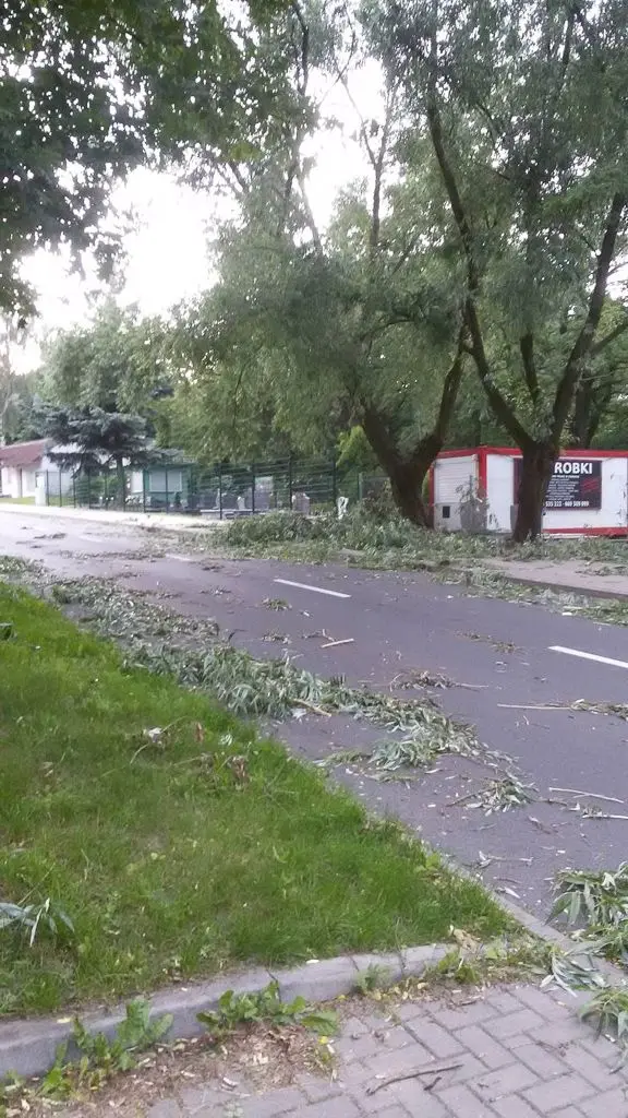 Wichura nad Bolesławcem