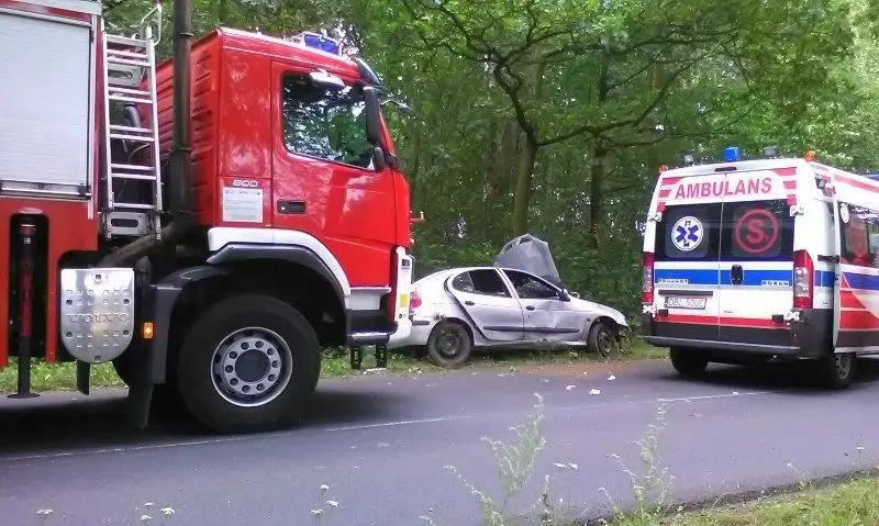 Wypadek koło Brzeźnika, dwie osoby ranne