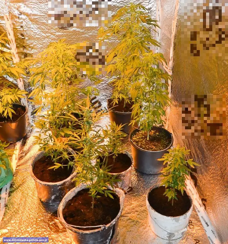 47-latek wpadł z 150 kg tytoniu. Miał też nielegalną amunicję