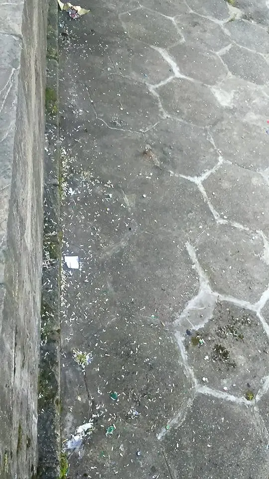 Syf przy wiadukcie