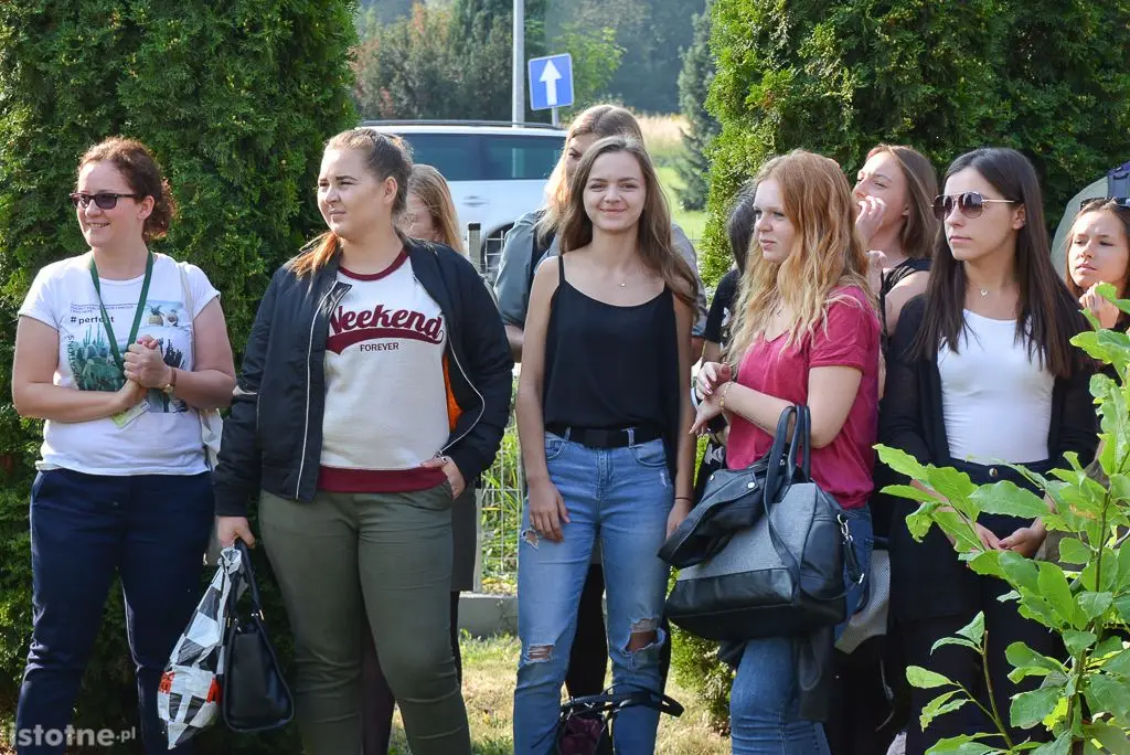 Aleja magnolii powstała przy bolesławieckiej „Budowlance”