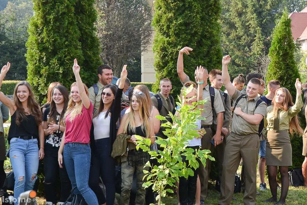 Aleja magnolii powstała przy bolesławieckiej „Budowlance”