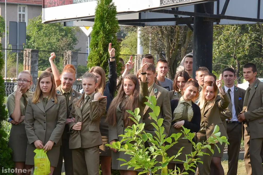 Aleja magnolii powstała przy bolesławieckiej „Budowlance”