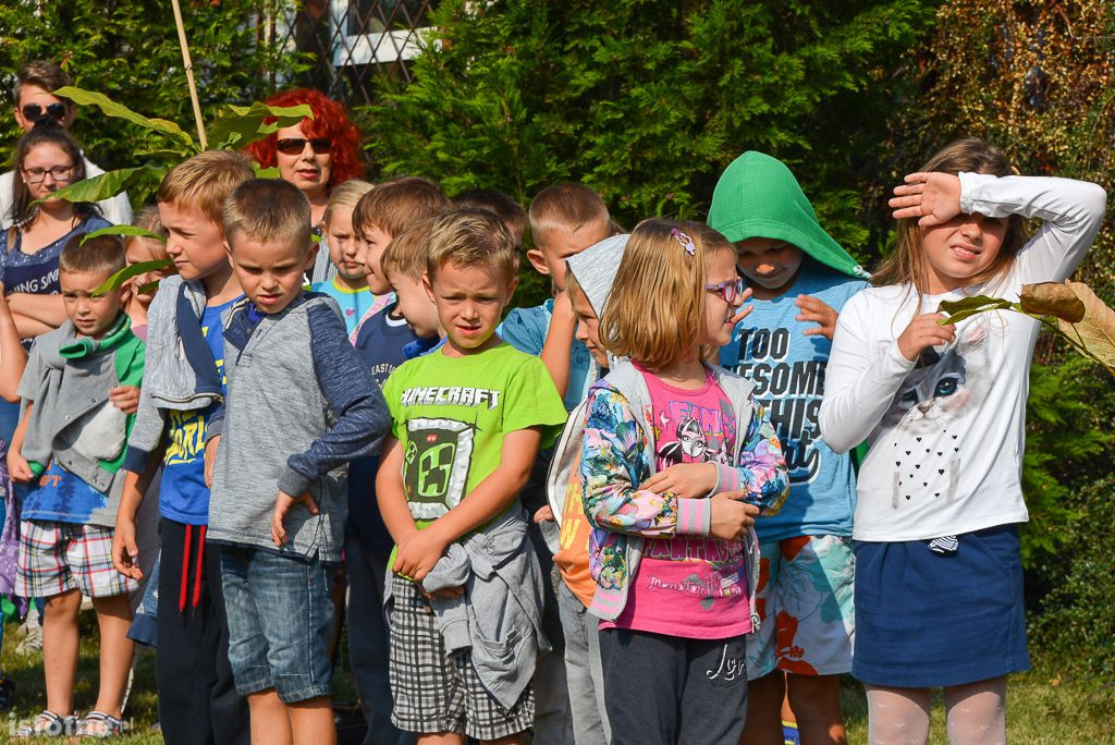 Aleja magnolii powstała przy bolesławieckiej „Budowlance”