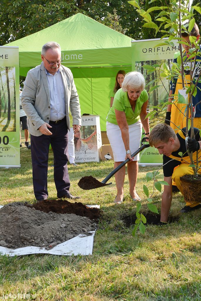 Aleja magnolii powstała przy bolesławieckiej „Budowlance”