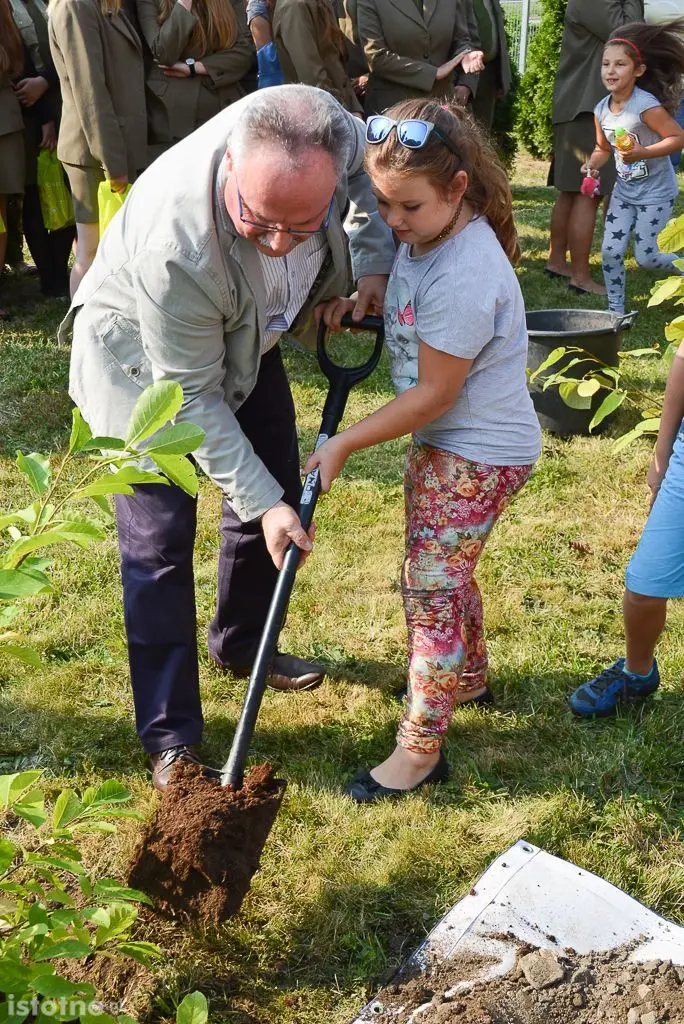 Aleja magnolii powstała przy bolesławieckiej „Budowlance”