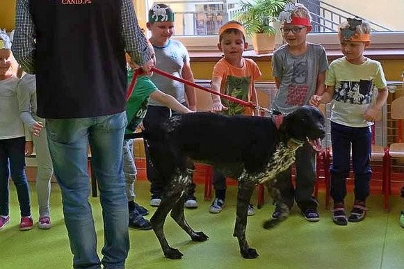 Dzień Kundelka w filii Miejskiego Przedszkola nr 3