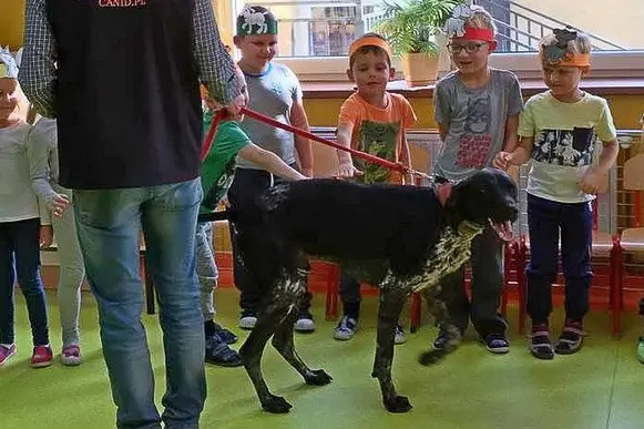 Dzień Kundelka w filii Miejskiego Przedszkola nr 3