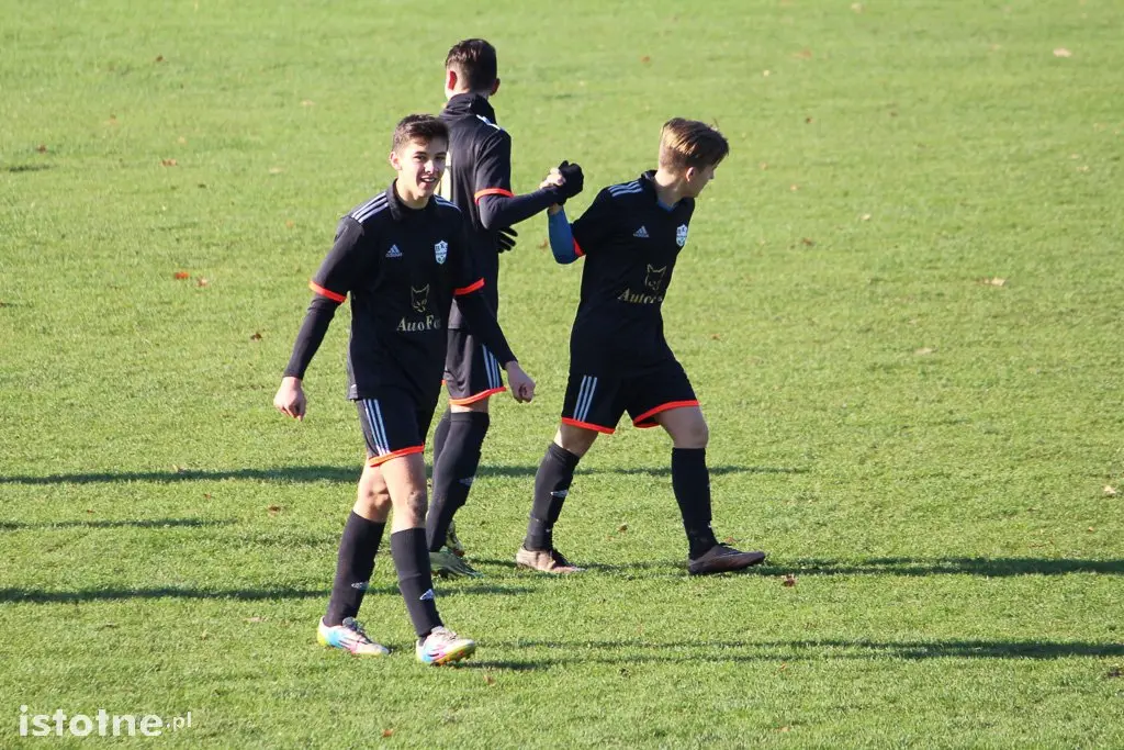 BKS wysoko pokonał Iwiny