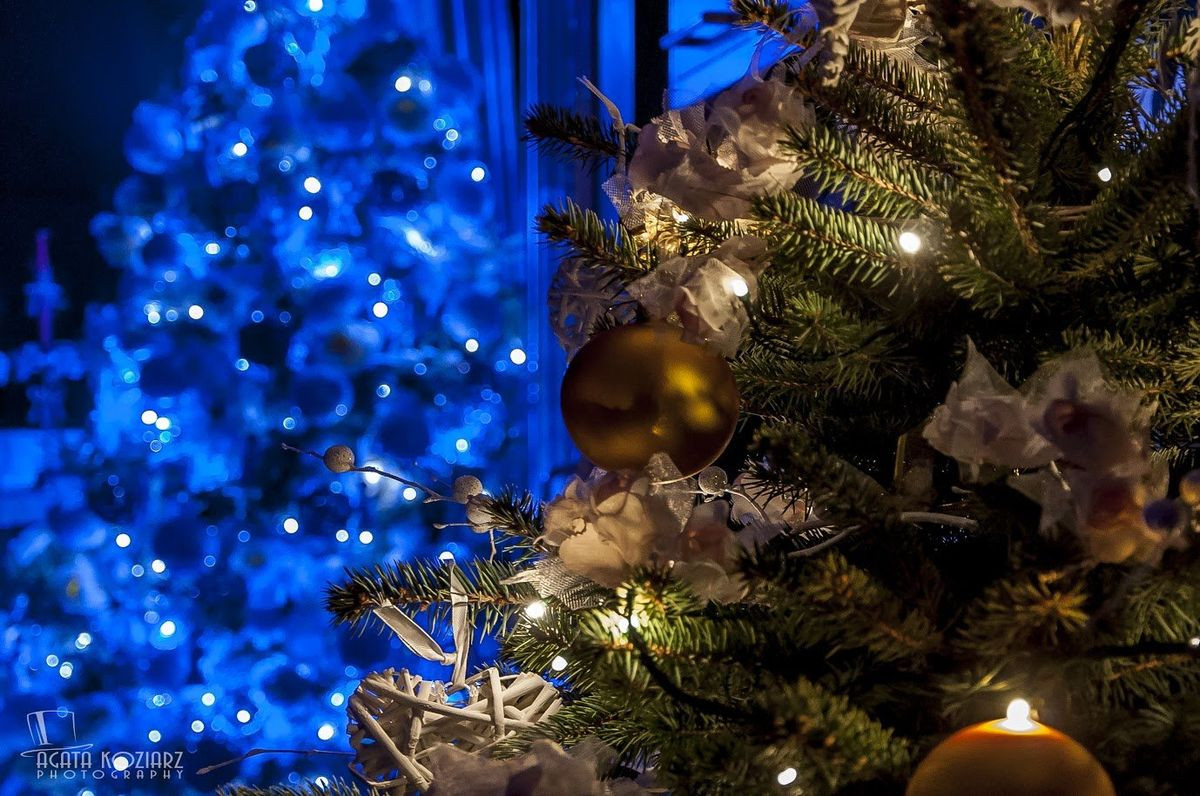 Agata Koziarz: Z miłości do fotografii, muzyki i… motocykli