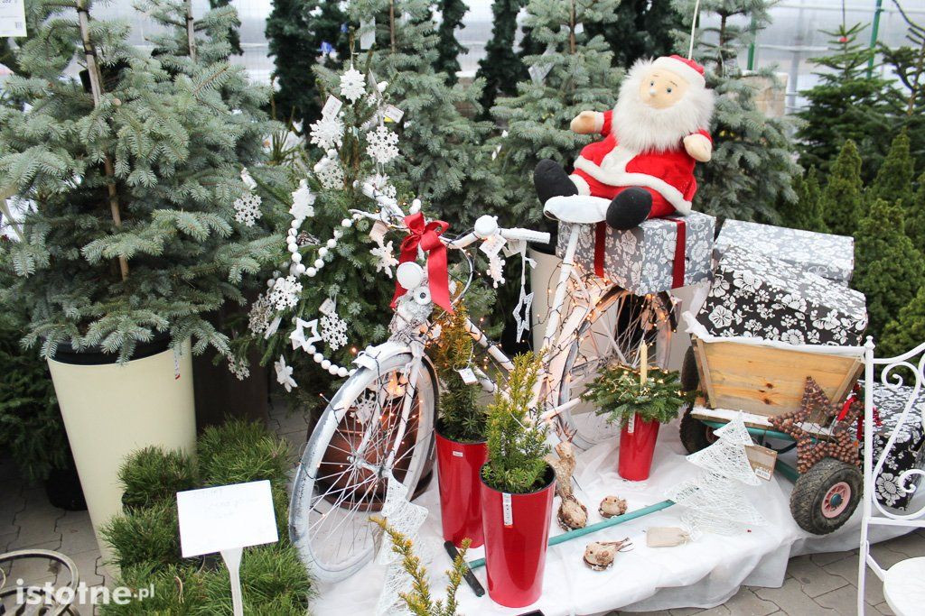 Mrówka-Zieleń Plan - największy wybór ozdób świątecznych w Bolesławcu!