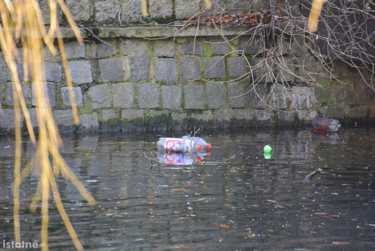 Czytelniczka o stawie miejskim: „Powinien być wizytówką, a jest nieporozumieniem”