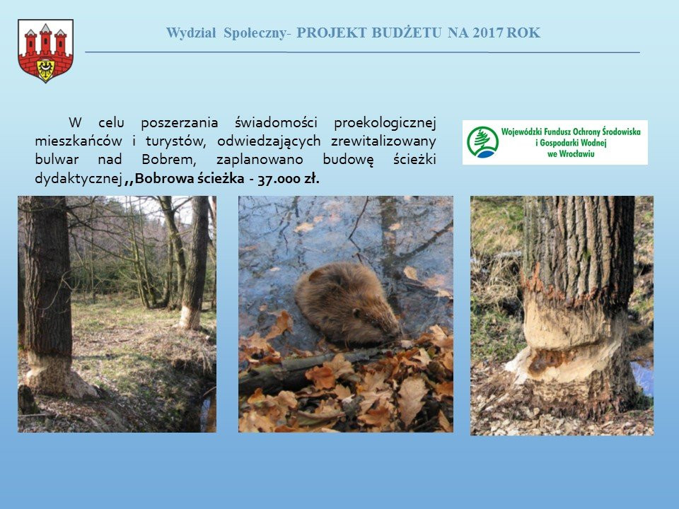 Przyszłoroczny budżet Bolesławca uchwalony