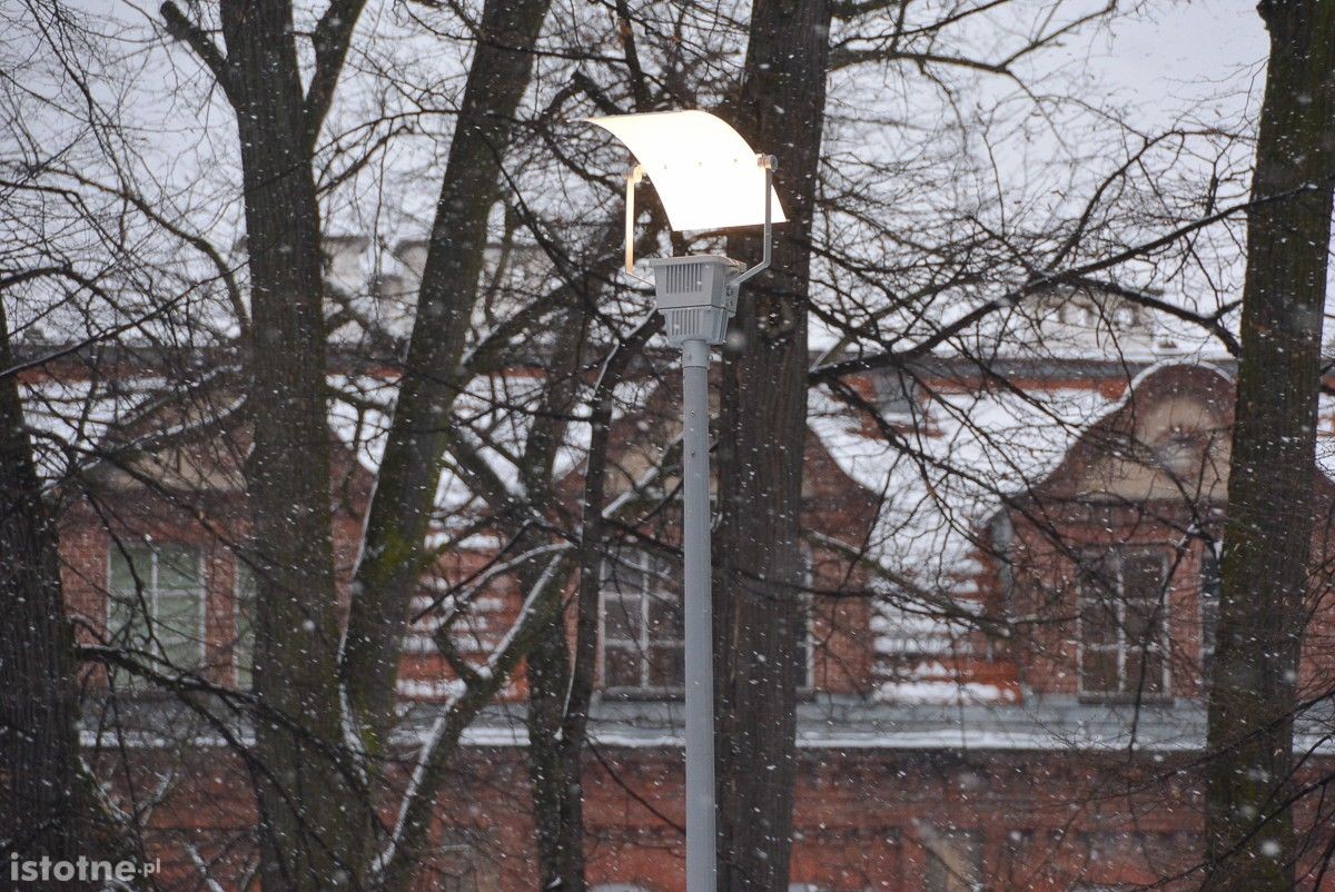 Amfiteatr w parku miejskim po remoncie