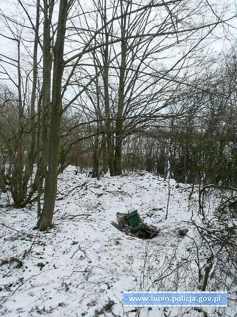 Wybudował ziemiankę, żeby… hodować marihuanę