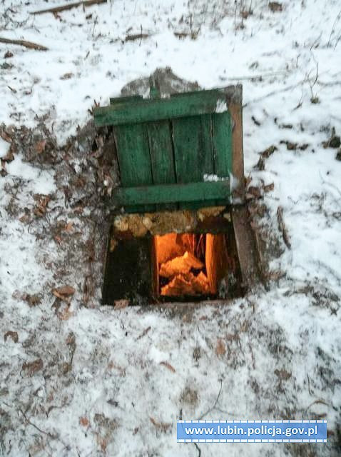 Wybudował ziemiankę, żeby… hodować marihuanę