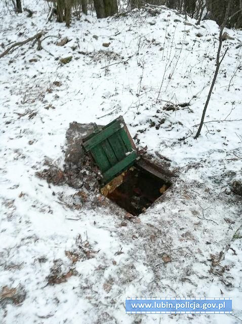 Wybudował ziemiankę, żeby… hodować marihuanę