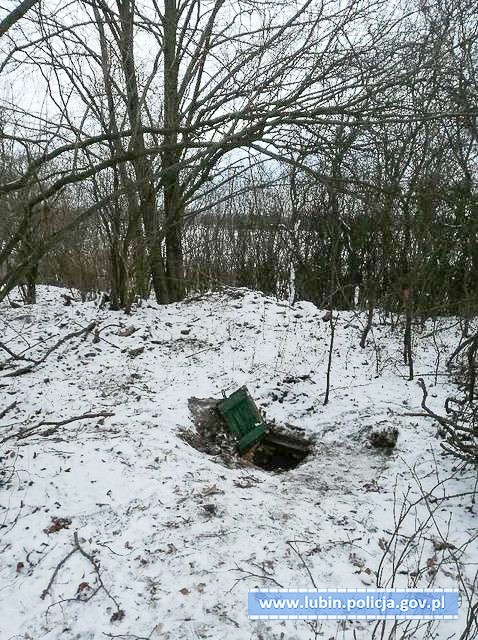 Wybudował ziemiankę, żeby… hodować marihuanę
